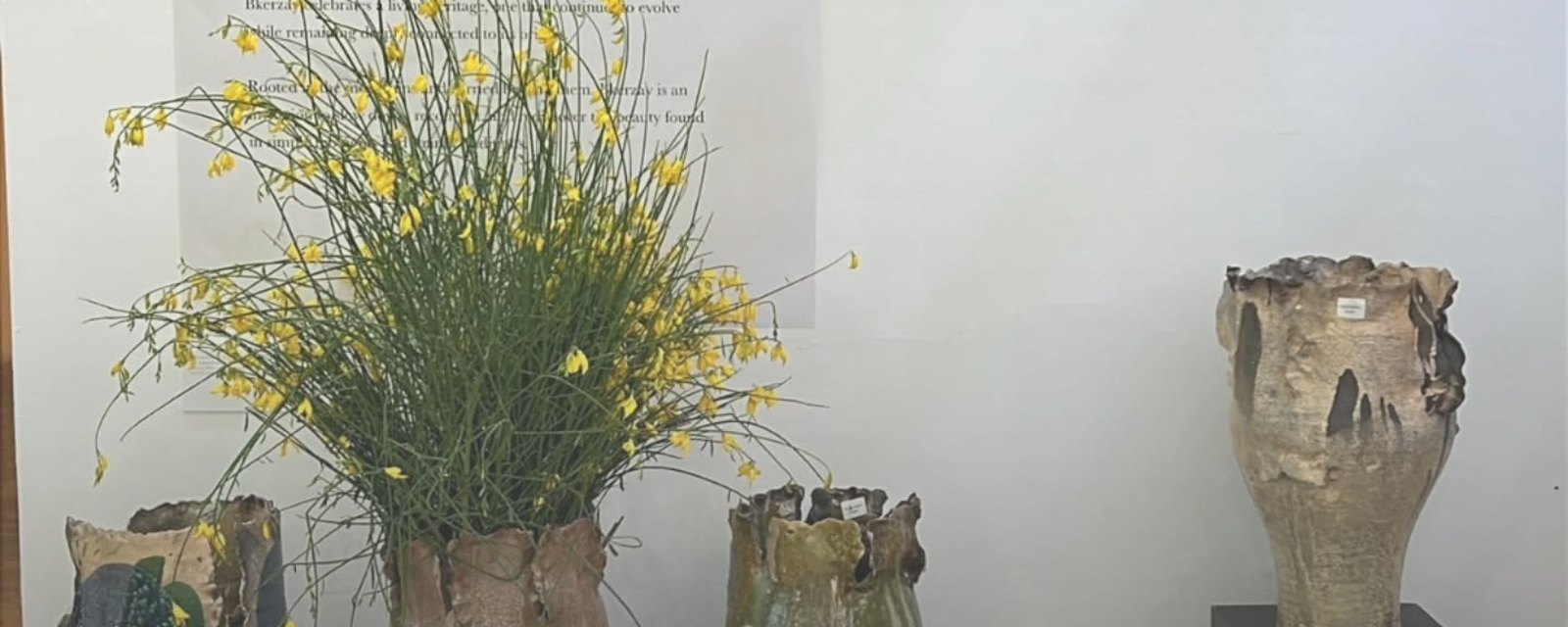 Jacques Ouaiss Gallery