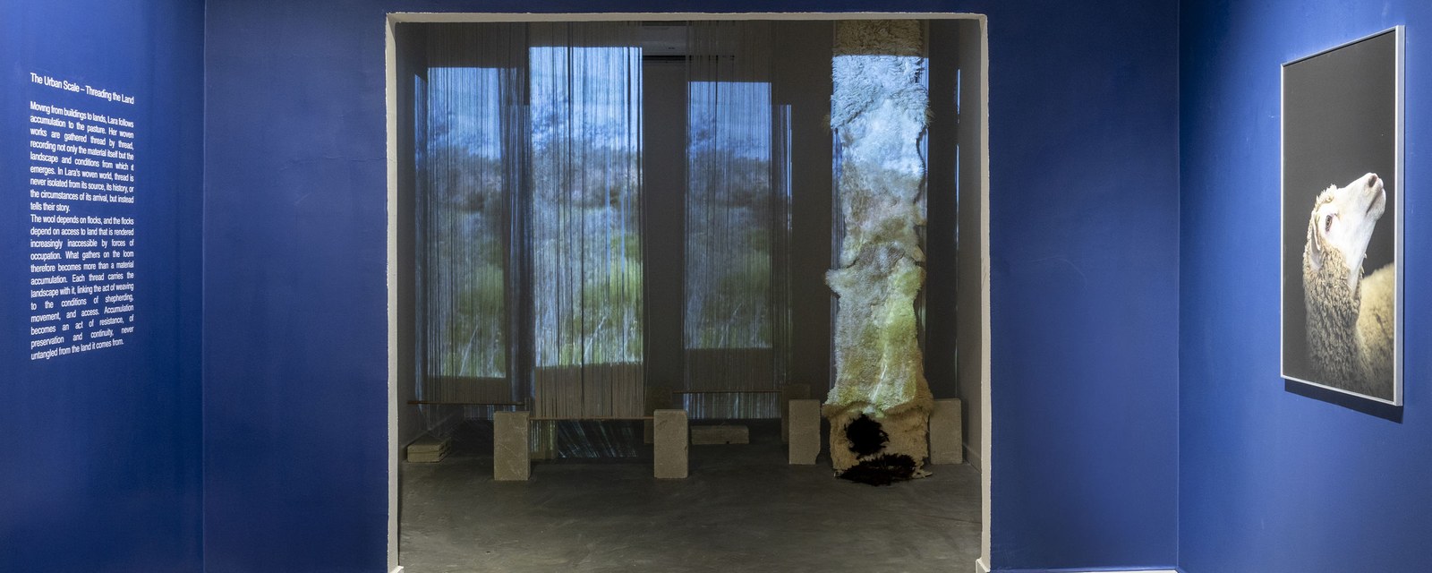 Wadi Finan Art Gallery