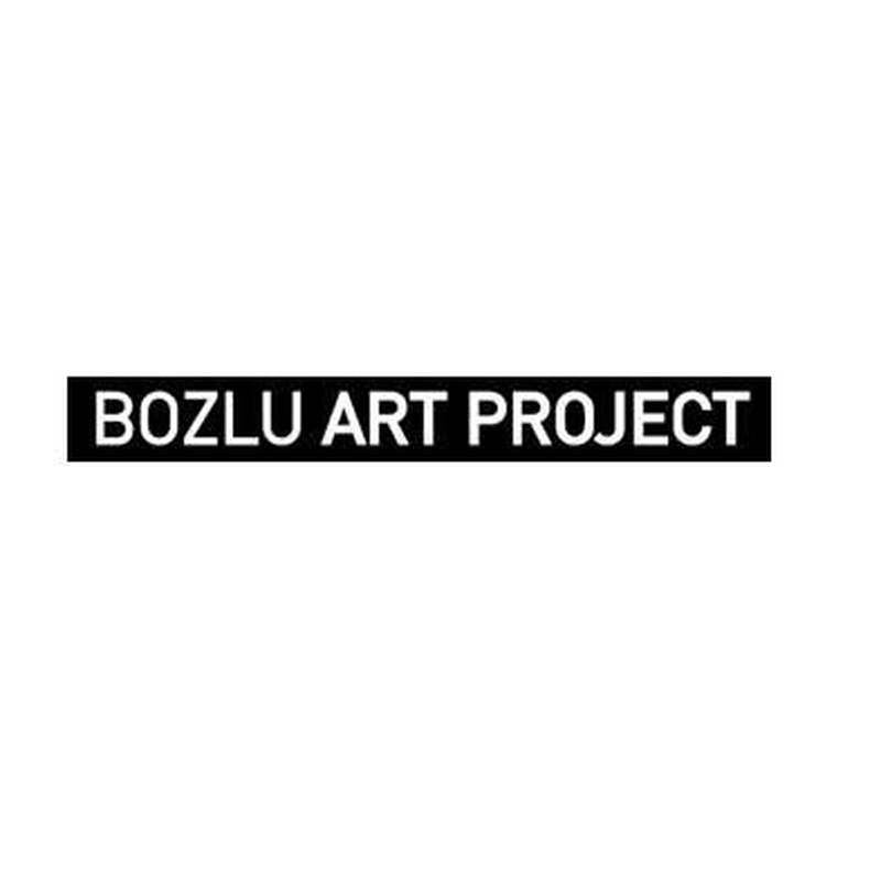 Bozlu Art Project logo