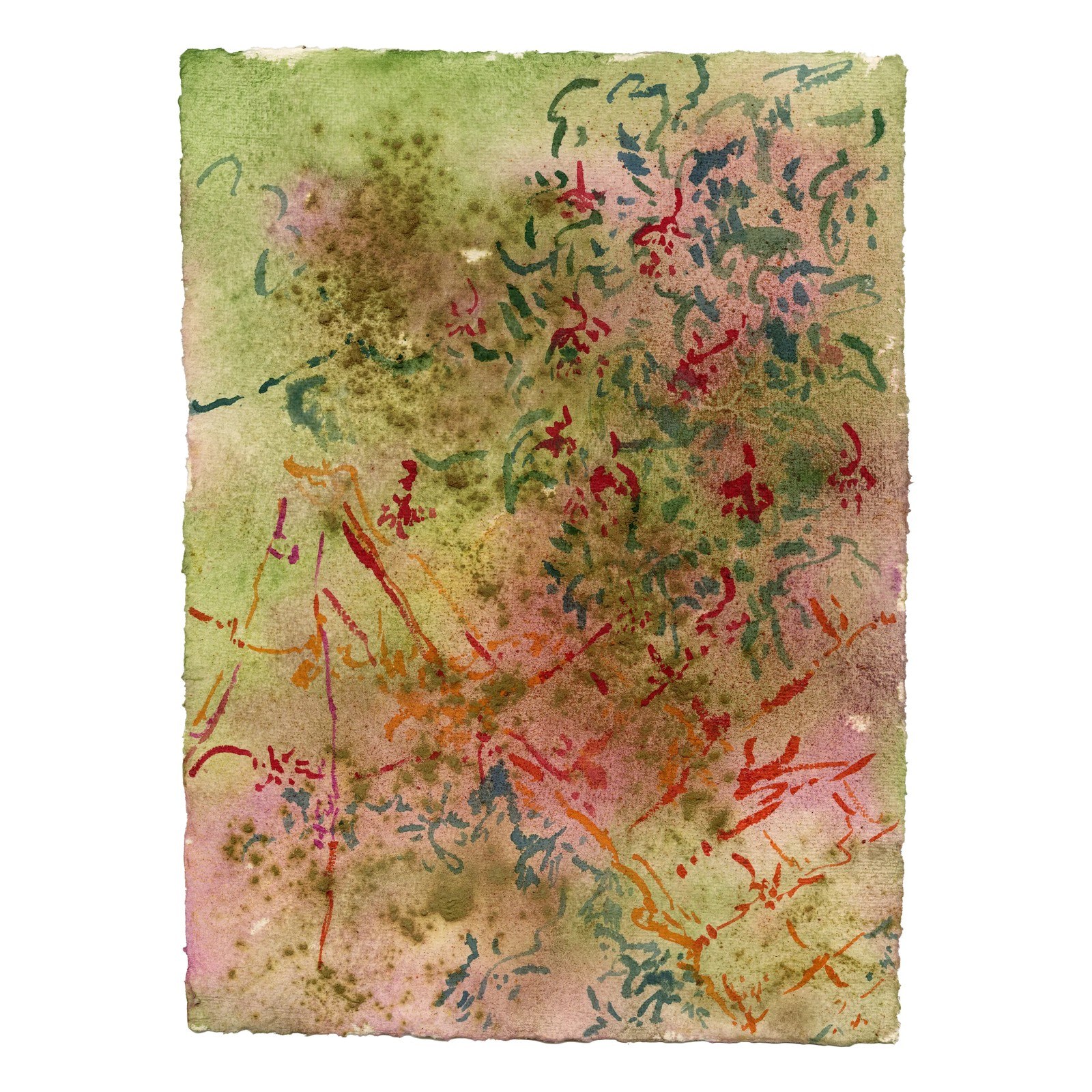 Traces of Home