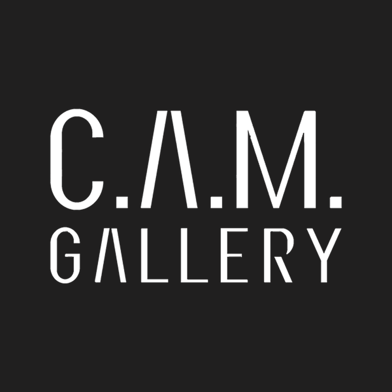 C.A.M. Galeri logo