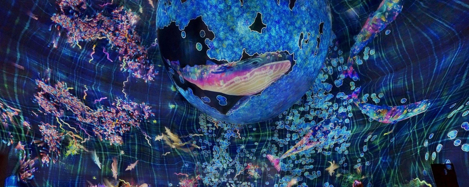 teamLab Phenomena Abu Dhabi