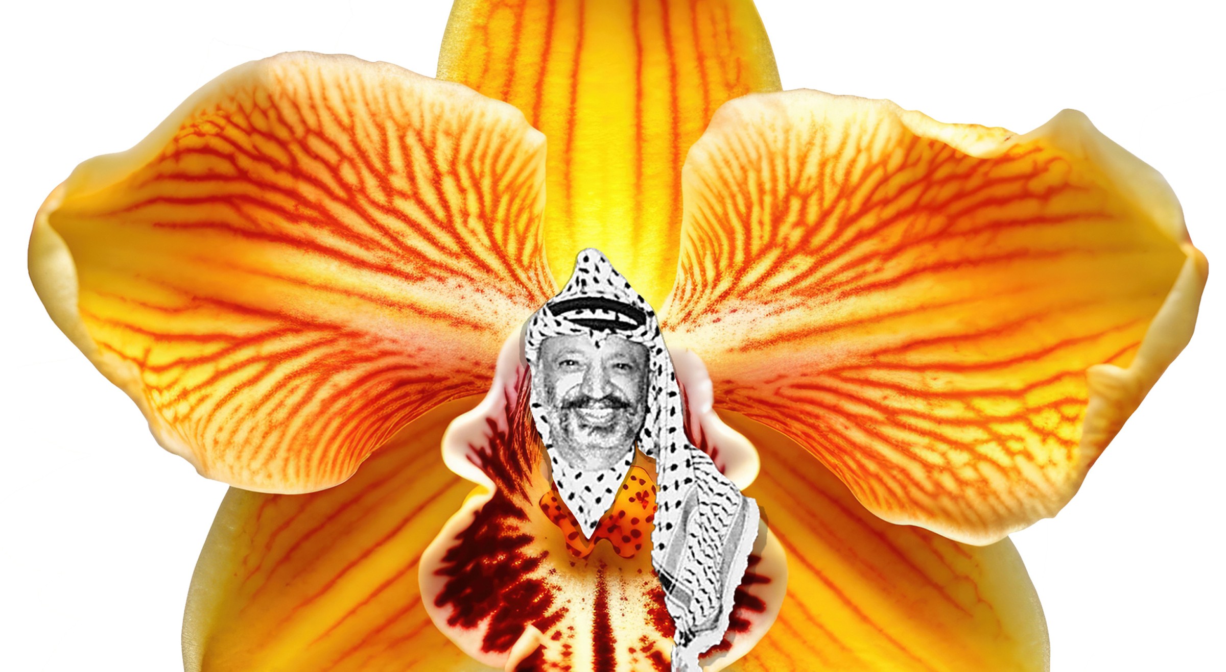 Walid Raad, image from Festival of (in)gratitude, 2026. © Walid Raad. Image courtesy of the Festival d'Automne à Paris.