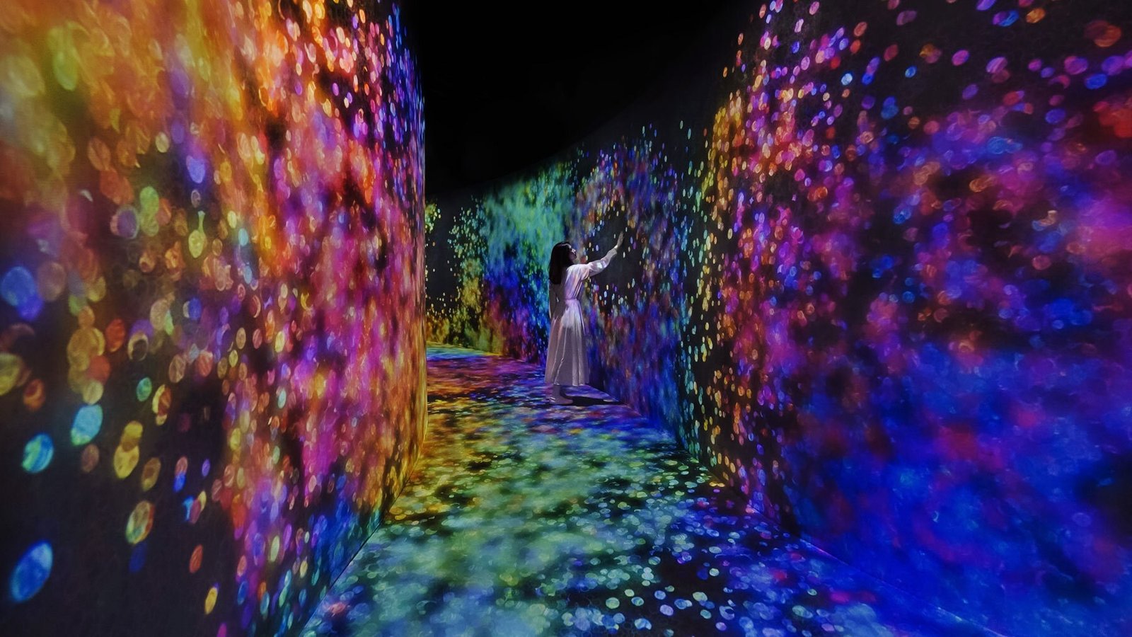 TeamLab Opens in Abu Dhabi