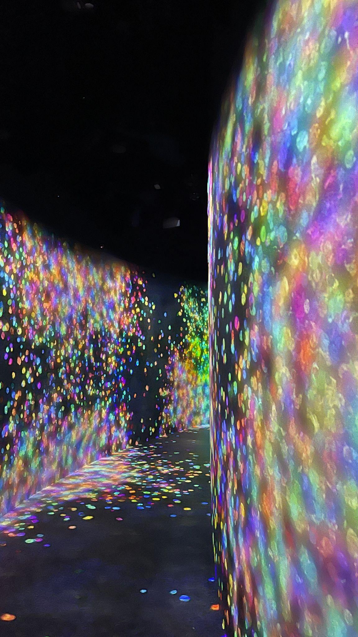 TeamLab Opens in Abu Dhabi